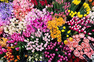 《最终幻想16》步行和陆行鸟是仅有的穿越方式