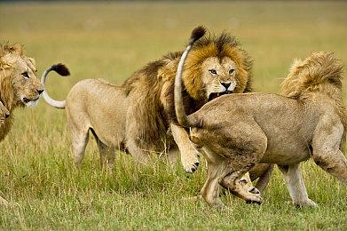 《消逝的光芒：困兽》——男爵在TGA预告片中登场